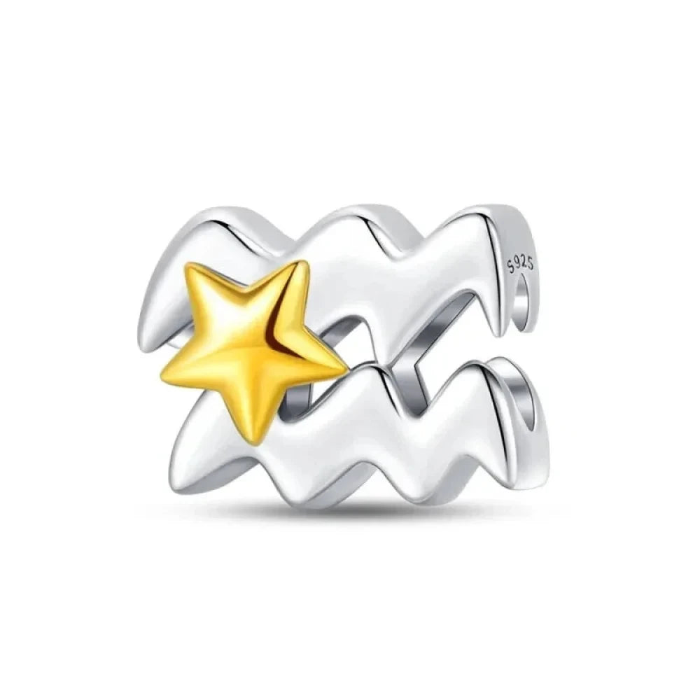 Delicate 925 Silver Zodiac Charm: Personalize Your Bracelet with your Constellation - Aquarius - Charms