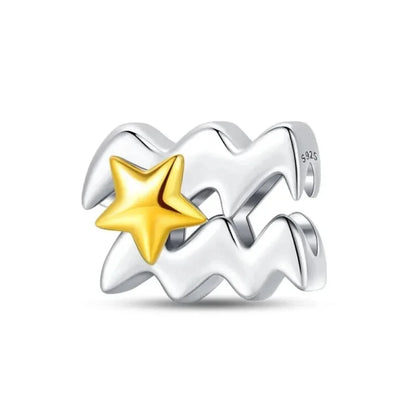Delicate 925 Silver Zodiac Charm: Personalize Your Bracelet with your Constellation - Aquarius - Charms