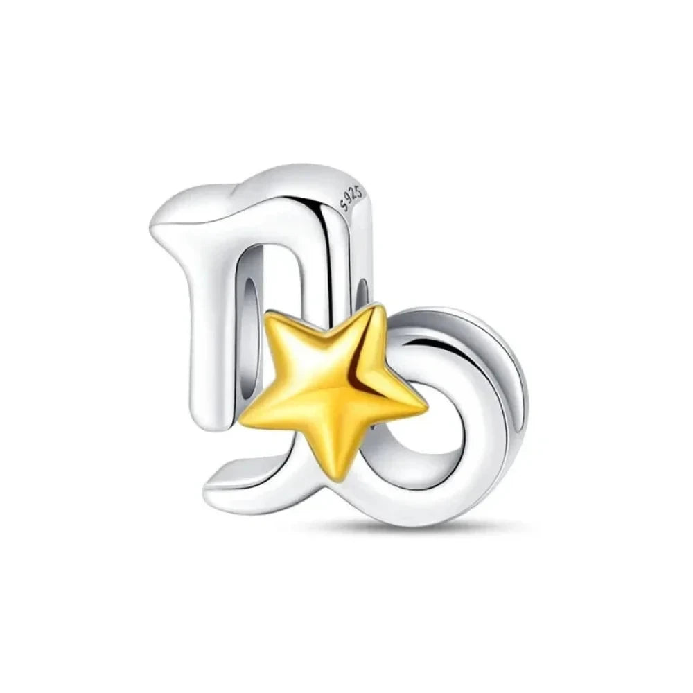 Delicate 925 Silver Zodiac Charm: Personalize Your Bracelet with your Constellation - Capricorn - Charms