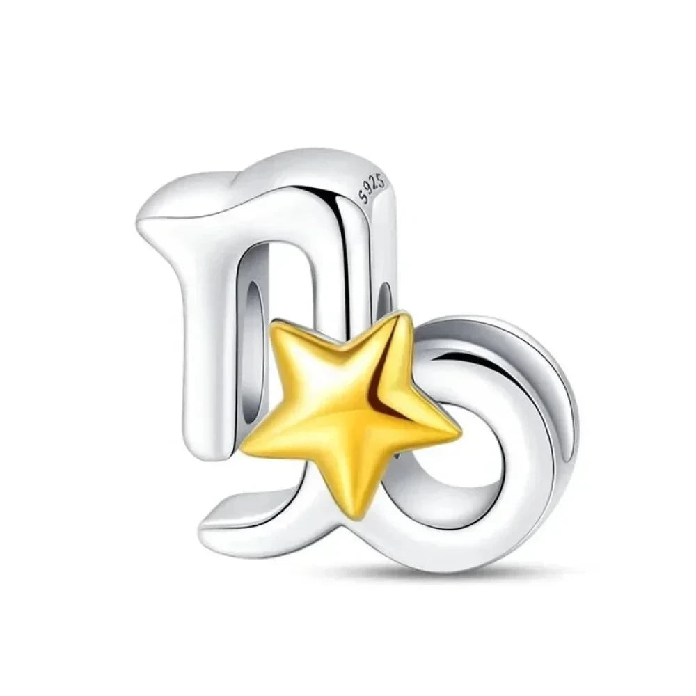 Delicate 925 Silver Zodiac Charm: Personalize Your Bracelet with your Constellation - Charms